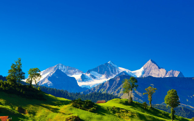 Mountain range trees blue sky #9 free wallpaper - medium preview image