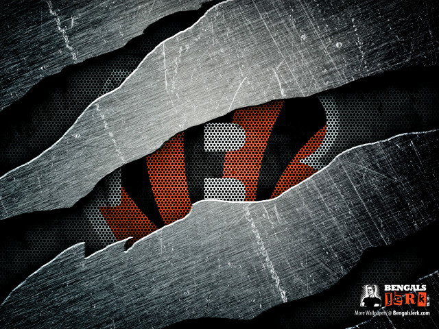 Metal tiger stripe hole abstract free wallpaper - medium preview image