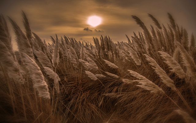 Sunset field grass clouds mountain free wallpaper - medium preview image