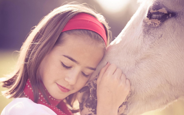 Girl kissing horse red bandana free wallpaper - medium preview image