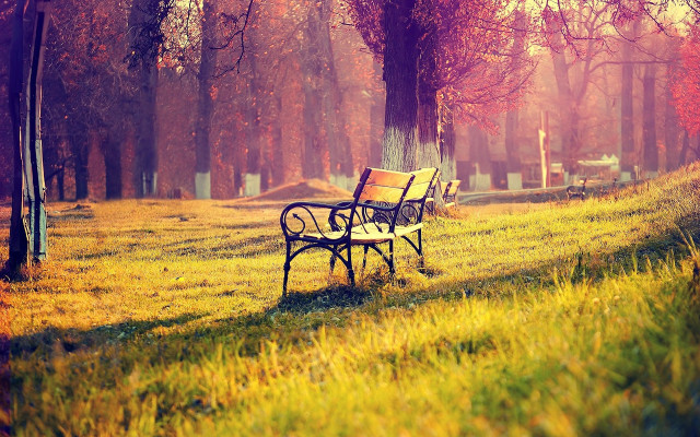 Park bench grass trees cemetery free wallpaper - medium preview image