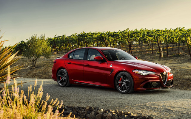 Red alfa coupe vineyard autumn free wallpaper - medium preview image