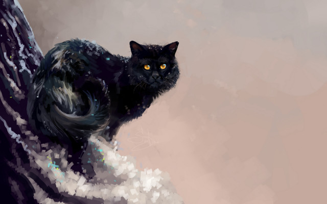 Black cat on branch yellow free wallpaper - medium preview image