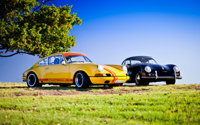 Yellow black car field tree free wallpaper - medium preview image