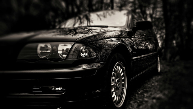 Black car parked tree park free wallpaper - medium preview image