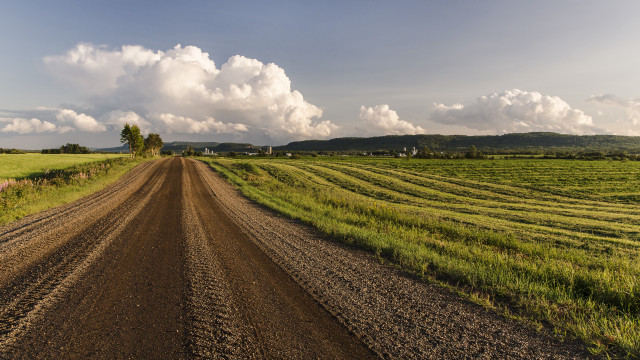 Dirt road field sky clouds #2 free wallpaper - medium preview image