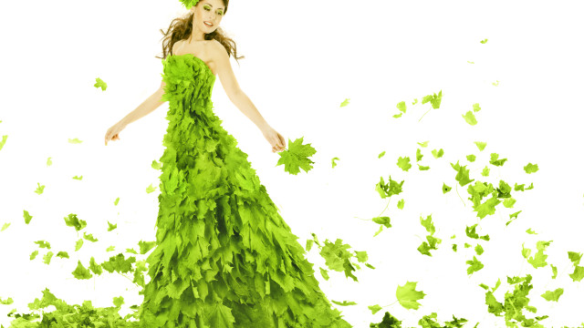 Green dress leaves butterflies plant free wallpaper - medium preview image