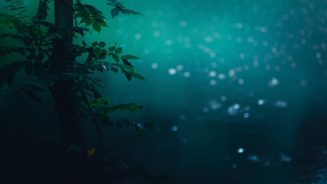 Rainy night tree leaves fireflies free wallpaper - medium preview image
