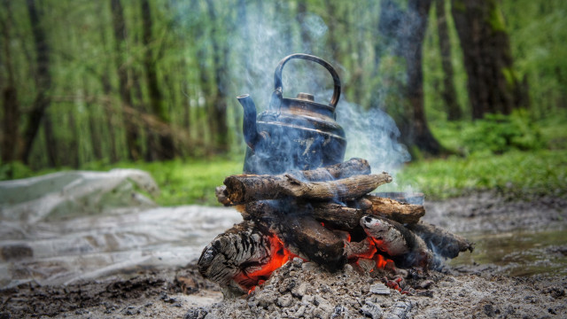 Kettle fire woods campfire nature free wallpaper - medium preview image