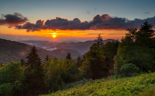 Sunset mountain range trees bushes free wallpaper - medium preview image