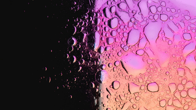 Water drops cherry blossoms night free wallpaper - medium preview image