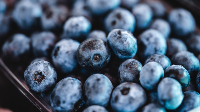 Blueberries closeup bokeh depthofield planet free wallpaper - medium preview image