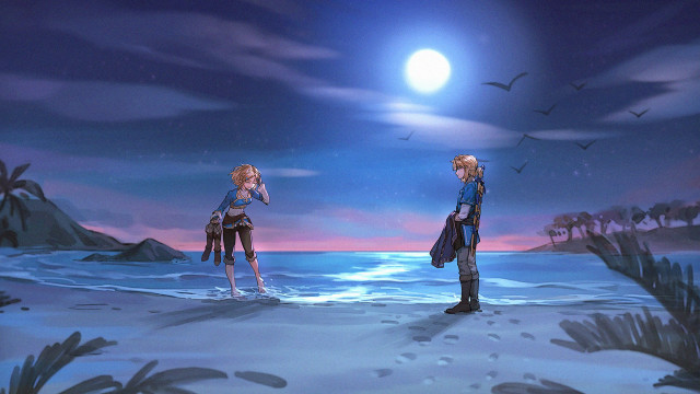 Beach night fullmoon bird people free wallpaper - medium preview image