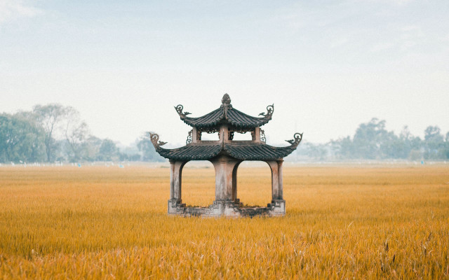 Tall tower field grass sky free wallpaper - medium preview image