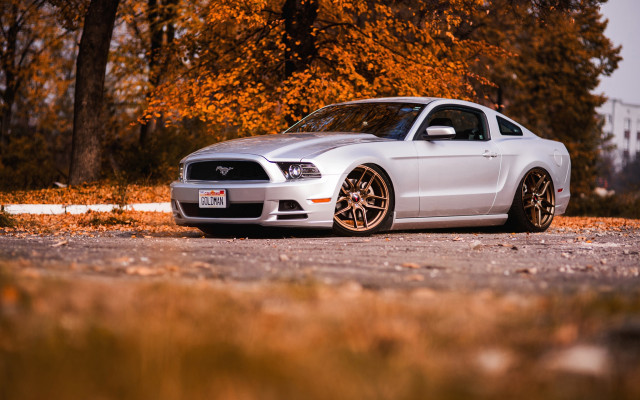 White mustang autumn leaves 3d free wallpaper - medium preview image