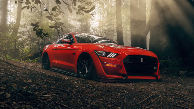 Red sports car woods sunbeams free wallpaper - medium preview image