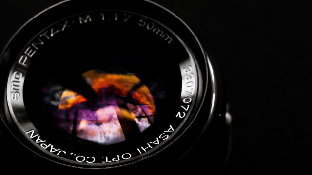 Camera lens tree photography #1011 free wallpaper - medium preview image