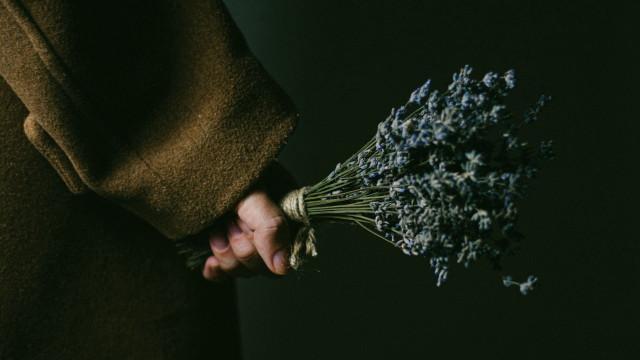 Person holding flowers dark background free wallpaper - medium preview image