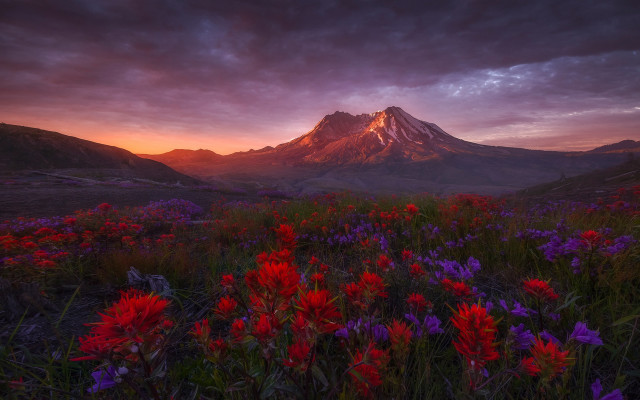Mountain flower field sunset clouds #2 free wallpaper - medium preview image