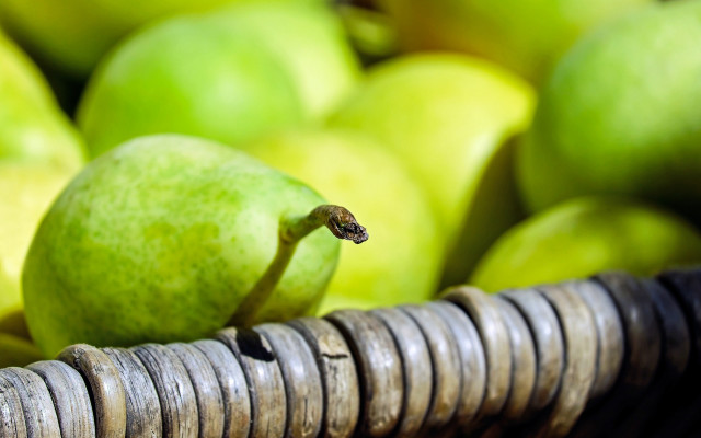 Basket apples snake green background free wallpaper - medium preview image