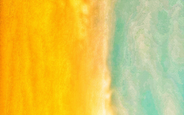 Yellow blue bird right abstract free wallpaper - medium preview image