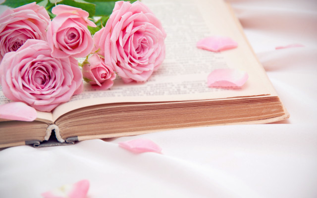 Pink roses bed petals flower free wallpaper - medium preview image