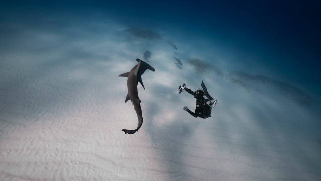 Diving shark camera aircraft cloud free wallpaper - medium preview image