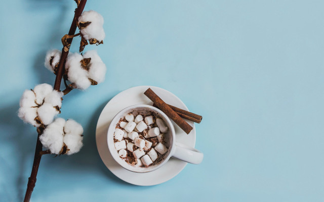 Hot chocolate marshmallows cinnamon branch free wallpaper - medium preview image