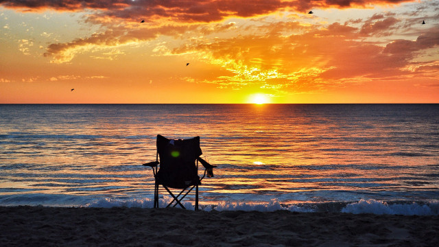 Beach sunset chair bird water free wallpaper - medium preview image