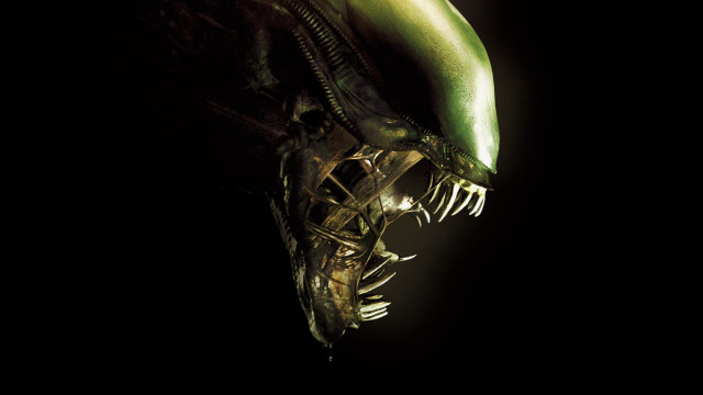 Alien green closeup black background free wallpaper - medium preview image