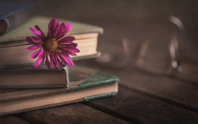 Pink flower stack books table free wallpaper - medium preview image