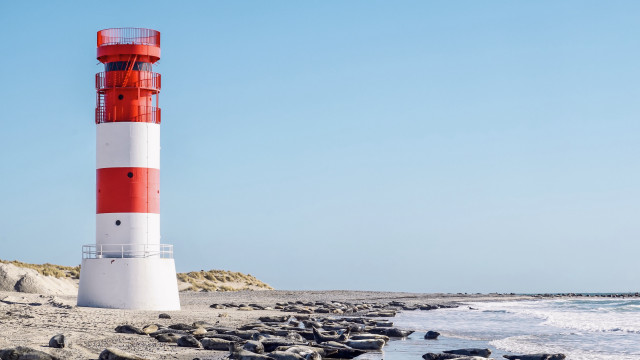 Lighthouse rocky beach seagulls ocean free wallpaper - medium preview image