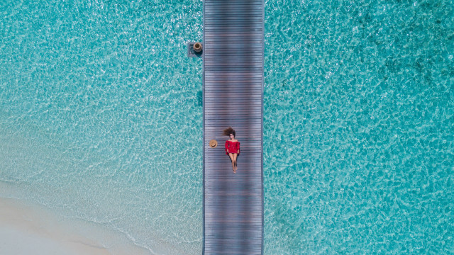 Woman red top boardwalk dog free wallpaper - medium preview image