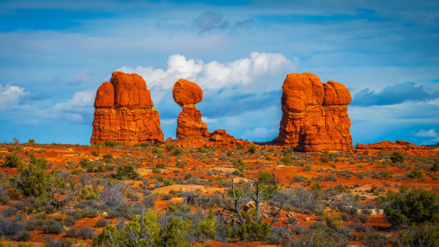 Desert rock formation trees bushes #2 free wallpaper - medium preview image
