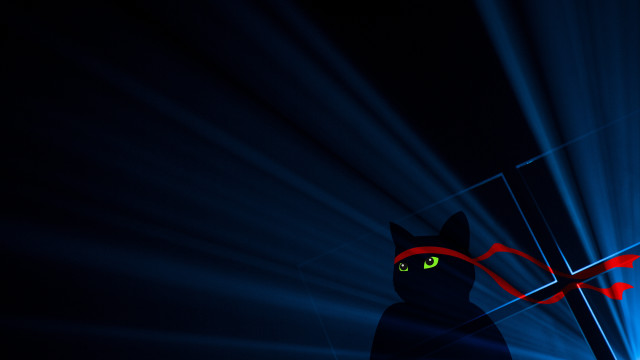 Black cat red arrow blue free wallpaper - medium preview image
