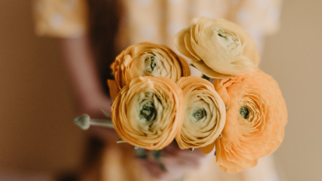 Person bouquet flowers blurry background free wallpaper - medium preview image