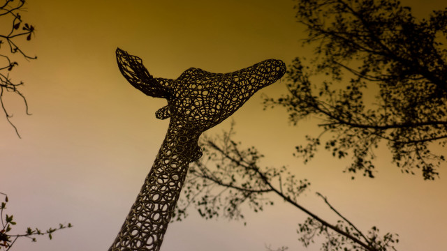 Giraffe sculpture autumn leaves sunset free wallpaper - medium preview image