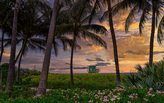 Sunset palm trees lifeguard tower free wallpaper - medium preview image