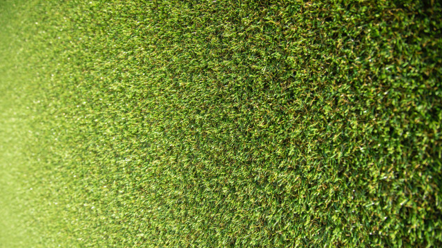 Green wall red fire hydrant free wallpaper - medium preview image