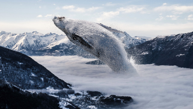 Humpback whale mountains snow clouds free wallpaper - medium preview image