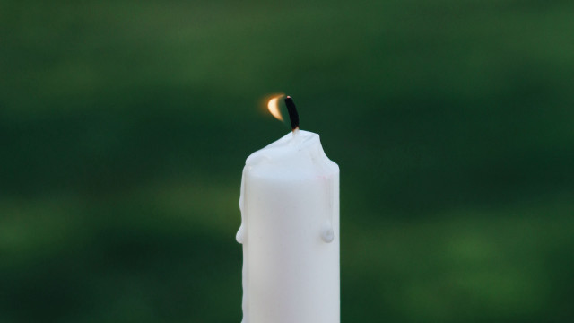 Candle lit candleholder green background free wallpaper - medium preview image
