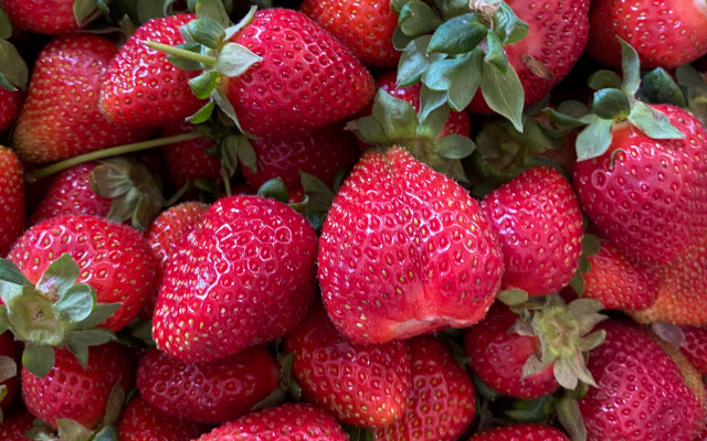 Strawberries leaves water droplets closeup free wallpaper - medium preview image
