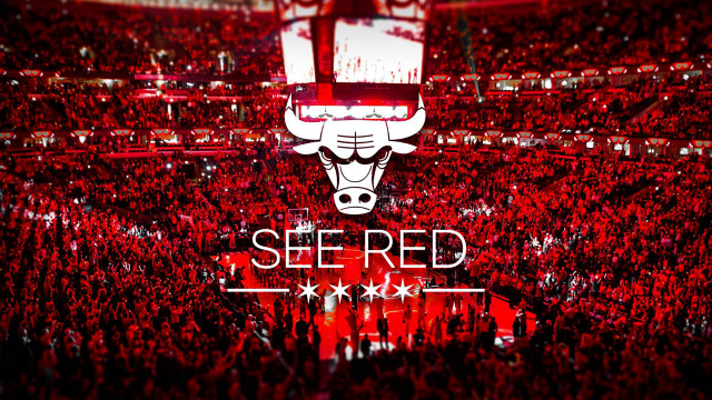 Bulls logo crowd stadium red free wallpaper - medium preview image