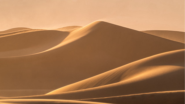 Desert sand dunes bird hazy #2 free wallpaper - medium preview image