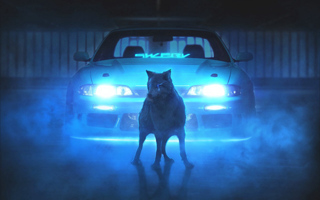 Dog car foggy night cyberpunk free wallpaper - medium preview image