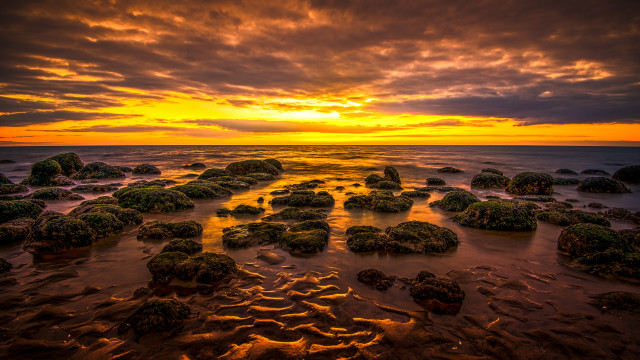 Sunset ocean rocks grass cloudy free wallpaper - medium preview image