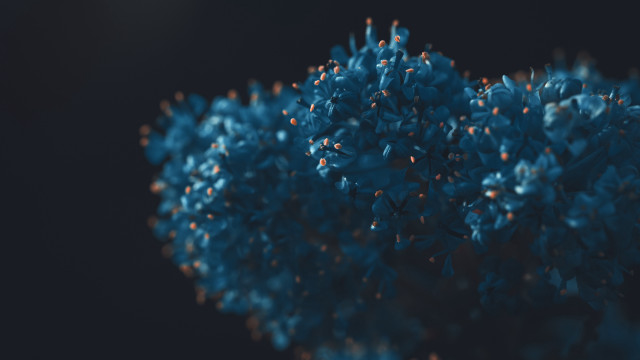 Blue flowers vase table top free wallpaper - medium preview image