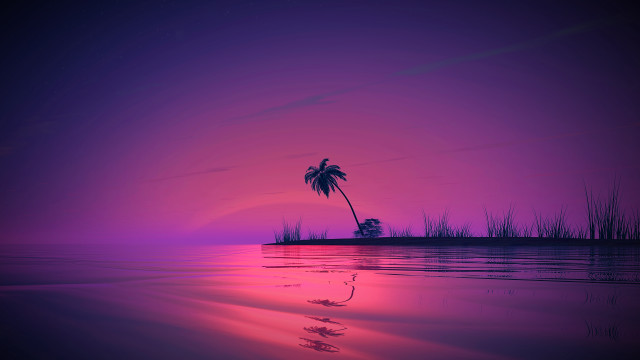 Palm tree sunset water reeds free wallpaper - medium preview image