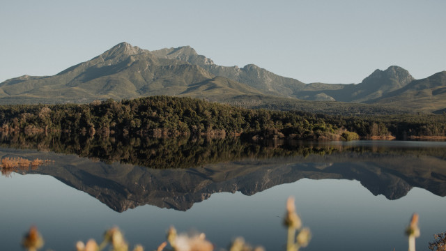 Mountain reflection lake trees bushes free wallpaper - medium preview image