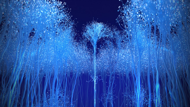 Blue forest sky fireworks moon free wallpaper - medium preview image